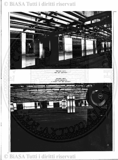 v. 5, n. 36 (1838-1839) - Pagina: 281