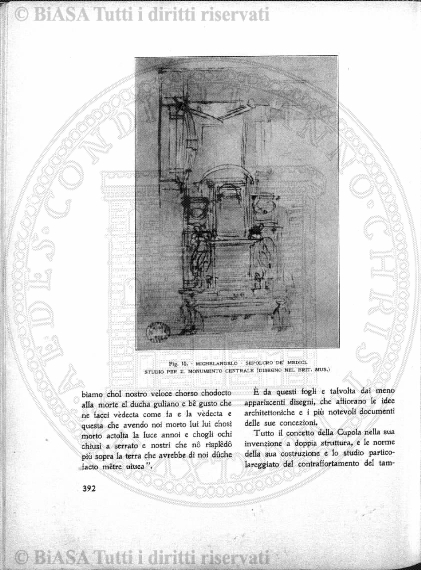 v. 21, n. 40 (1854-1855) - Pagina: 313