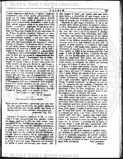 n. 28 (1843-1844) - Pagina: 81