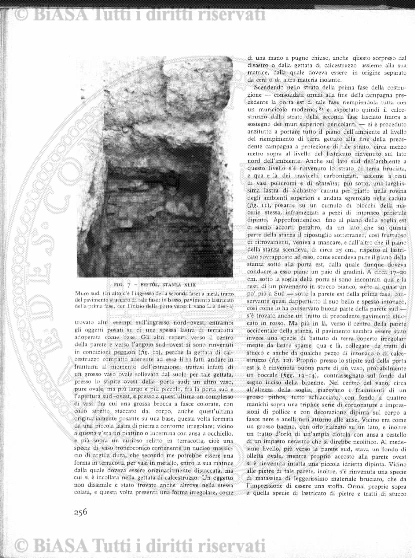 v. 23, n. 6 (1856-1857) - Pagina: 41