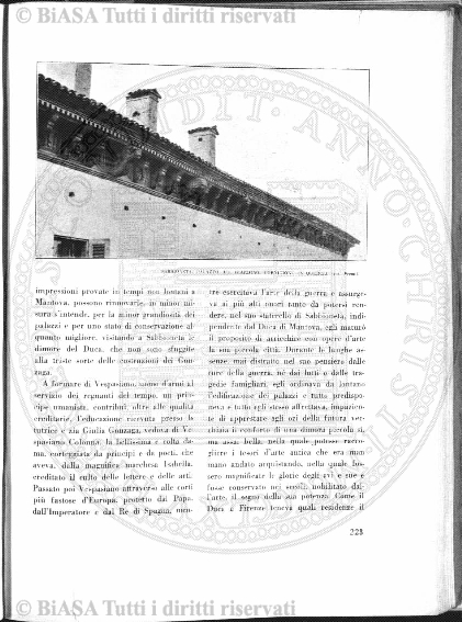 s. 3, n. 18 (1904) - Pagina: 117 e sommario
