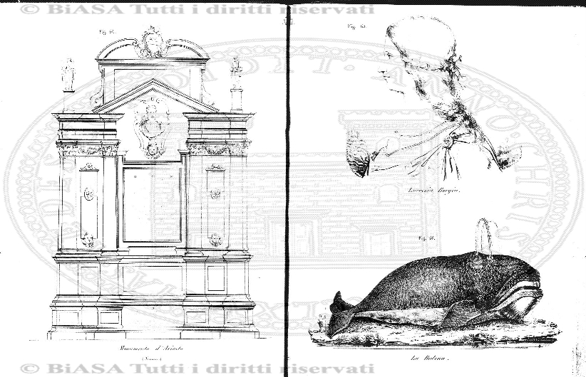 v. 9, n. 11 (1900) - Pagina: 161