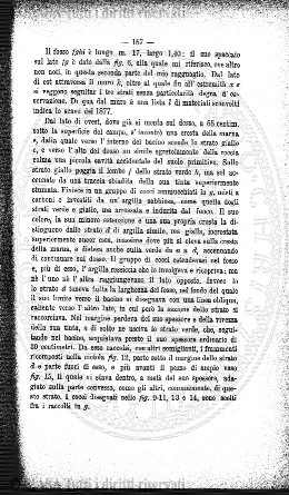 n. 5-6 (1881) - Pagina: 65