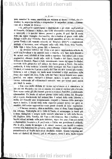 v. 28, n. 5 (1861-1862) - Pagina: 33