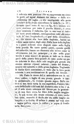 n. 10 (1875) - Pagina: 141