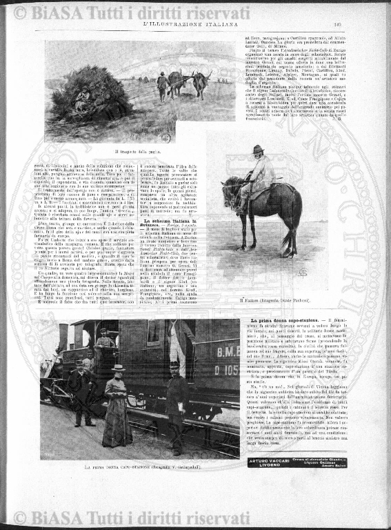 n. 8 (1911) - Copertina: 1