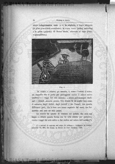 n. 7 (1911) - Pagina: 53