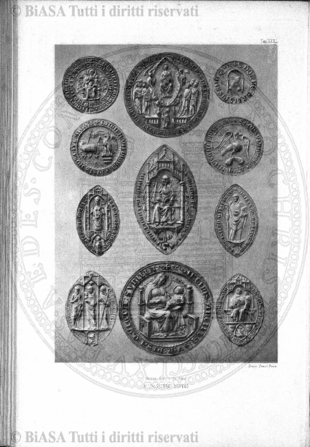 s. 3, n. 2 (1894) - Pagina: 17