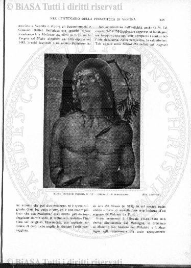 s. 3, n. 5 (1894) - Pagina: 65