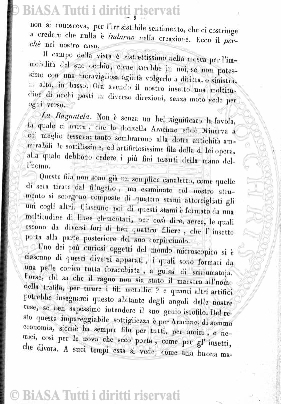 n. 1, spogli (1896-1897) - Copertina: 1
