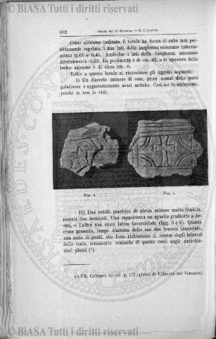 n. 7-8 (1882) - Pagina: 161