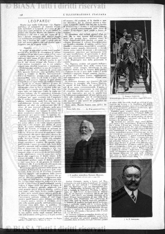 s. 3, v. 1, n. 8 (1882) - Pagina: 297