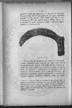 s. 5, v. 17, n. 8 (1923) - Copertina: 1