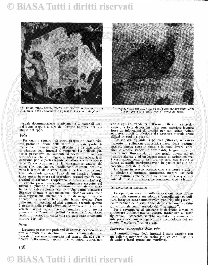 n. 11a (1831) - Pagina: 161