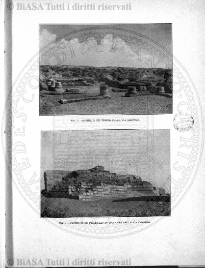 n. 5 (1871) - Pagina: 65