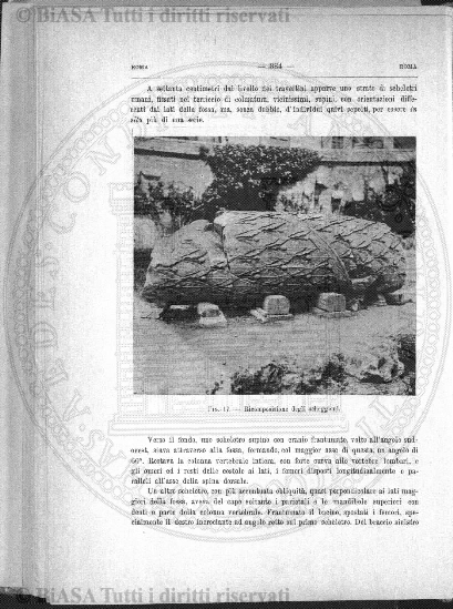 n. 4 (1915) - Copertina: 1