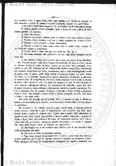 n. 22 (1919) - Copertina: 1