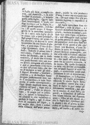 v. 9, n. 25 (1844-1845) - Pagina: 197