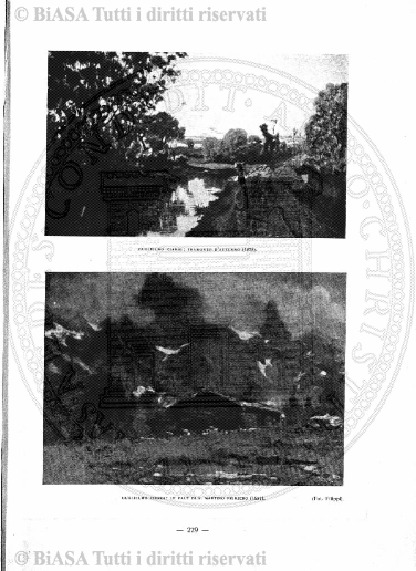 n. 36 (1834) - Pagina: 141