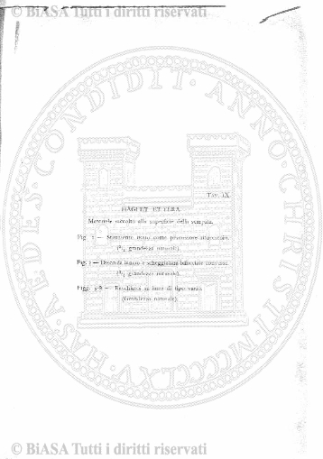 v. 9, n. 50 (1842-1843) - Pagina: 393