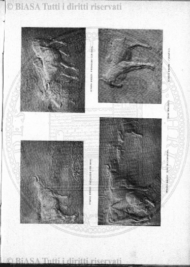 s. 6, v. 5, n. 5-6 (1929) - Copertina: 1