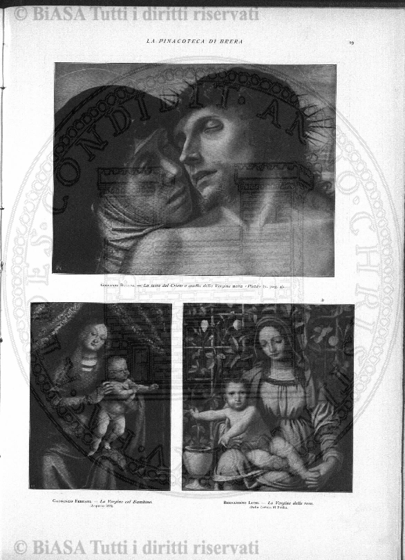 n. 33 (1886) - Pagina: 241 e sommario