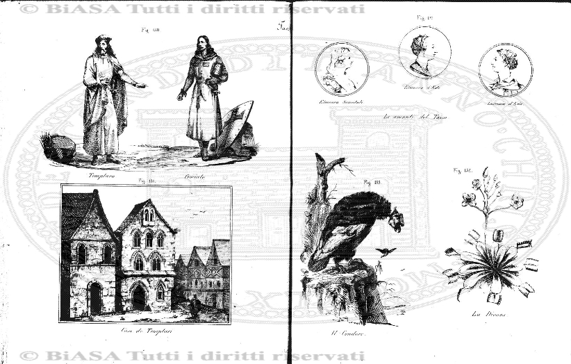 v. 10, n. 40 (1845-1846) - Pagina: 313