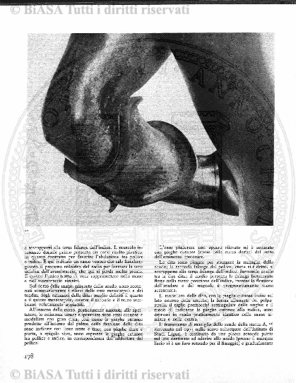 n. 8 (1902) - Pagina: 393