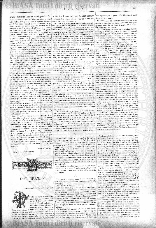 s. 2, v. 7, n. 3 (1872) - Pagina: 61