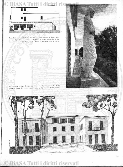 v. 11, n. 11 (1844-1845) - Pagina: 81