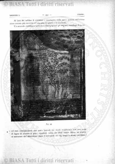 v. 11, n. 42 (1844-1845) - Pagina: 329