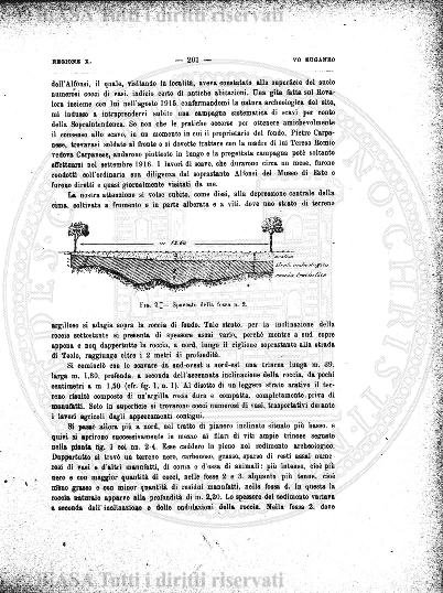 v. 7, n. 37 (1780-1781) - Pagina: 289