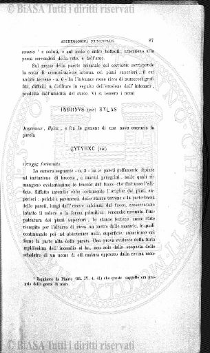 n. 12 (1889) - Frontespizio