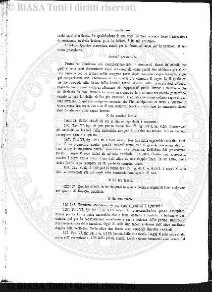 n. 20 (1889) - Frontespizio