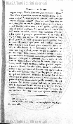 n. 5 (1910) - Pagina: 37