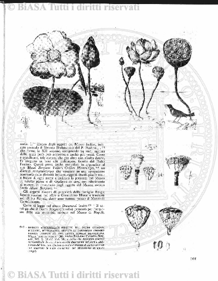 v. 3, n. 5 (1868) - Pagina: 105