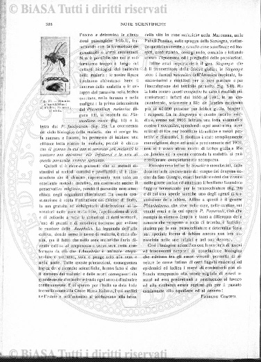 v. 2, n. 37 (1865) - Pagina: 177