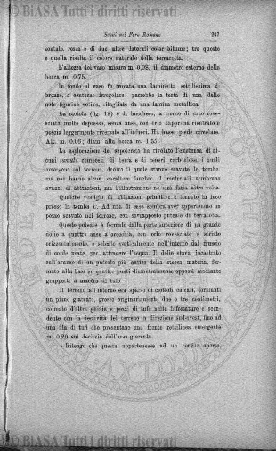 v. 17, n. 99 (1903) - Copertina: 1