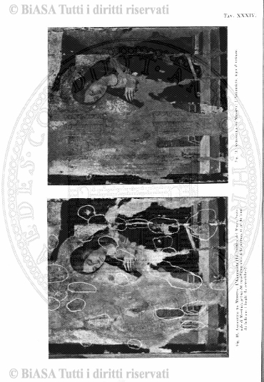 s. 5, n. 10 (1913) - Copertina: 1