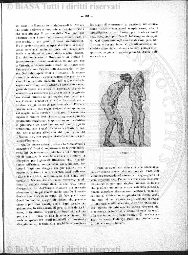 v. 23, n. 22 (1856-1857) - Pagina: 169