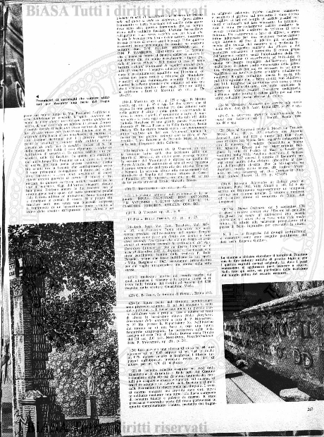 s. 3, v. 2, n. 10 (1884) - Pagina: 331