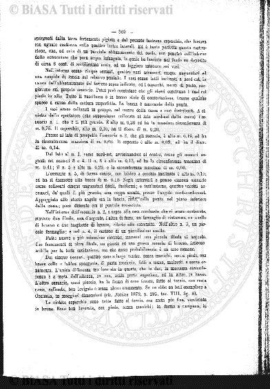 Indice topografico (1900) - Frontespizio