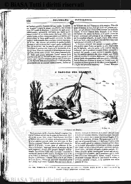v. 20, n. 14 (1853-1854) - Pagina: 97