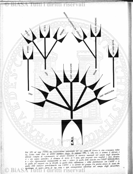 n. 19 (1898) - Frontespizio
