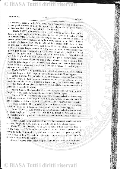 n. 5 (1932) - Pagina: 49