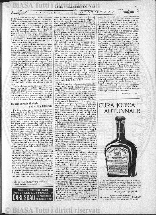 v. 21, n. 40 (1854-1855) - Pagina: 313