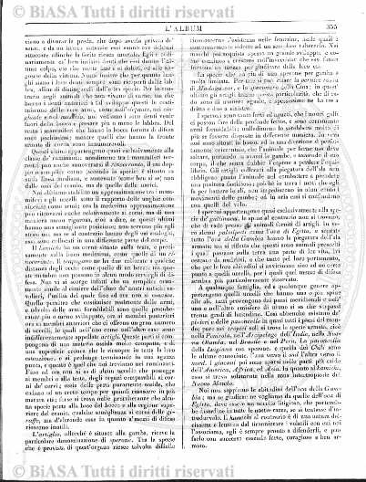 v. 49, n. 293 (1919) - Copertina: 1