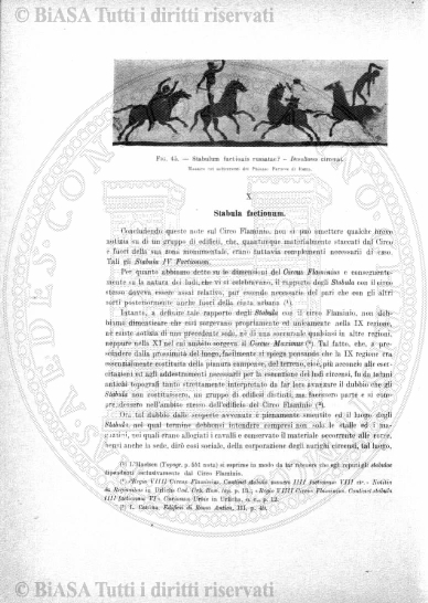 s. 5, n. 3 (1911) - Pagina: 65