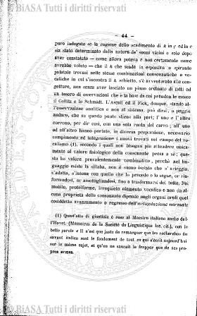 n. 19 (1905) - Frontespizio