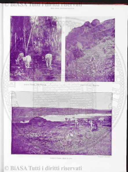 s. 3, v. 8, n. 10-12 (1902) - Pagina: 195